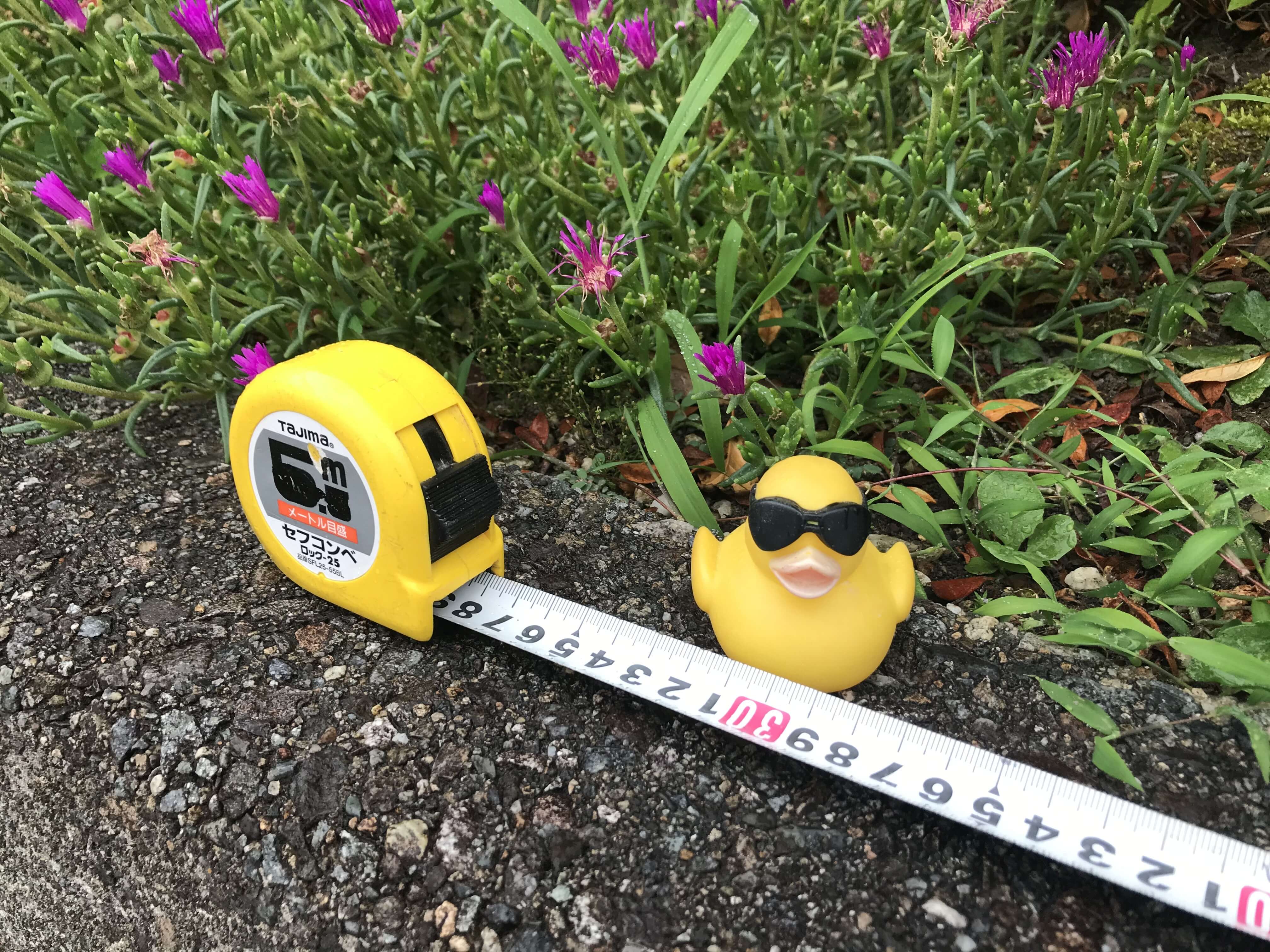 まきじゃく の ジャック